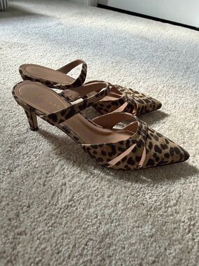 Cole Haan Leopard Kitten Heels